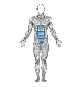 Основная группа мышц упражнения Подтягивание коленей к груди
