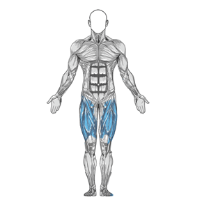 Основная группа мышц упражнения Толчок штанги от груди