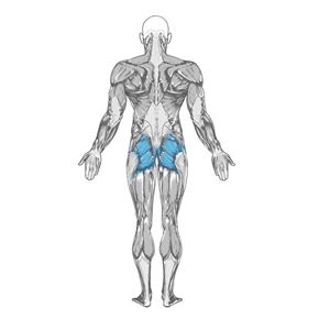 Основная группа мышц упражнения Растяжка ягодичных мышц (колено к груди)