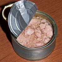 tuna light canned water 157661 Домашние тренировки